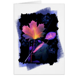 Herbstausgänge in Neon und Blau