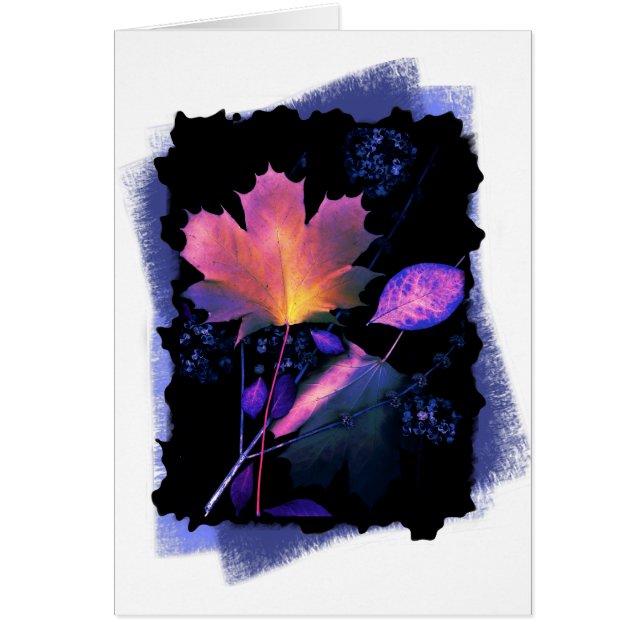 Herbstausgänge in Neon und Blau (Vorne)