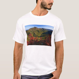 Herbstaussicht der Linville Schlucht oft als die T-Shirt
