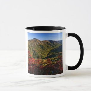 Herbstaussicht der Linville Schlucht oft als die Tasse