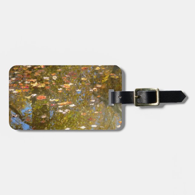 Herbstausstiege und Streams-Reflektion bei Greenbe Gepäckanhänger (Vorderseite horizontal)