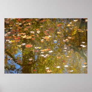 Herbstausstiege und Streams-Reflektion bei Greenbe Poster