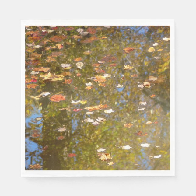 Herbstausstiege und Streams-Reflektion bei Greenbe Serviette (Vorderseite)