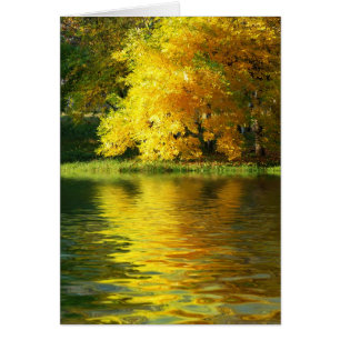 Herbstbaum im Wald mit Reflektion