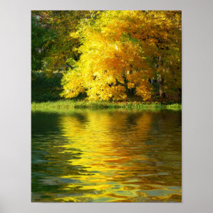Herbstbaum im Wald mit Reflektion Poster