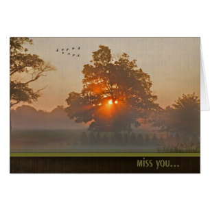 Herbstbaum in instabilem Sonnenlicht