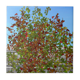 Herbstbaum Kardinal Birds Keramik Tile Fliese