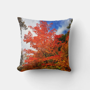 Herbstbaum Kissen