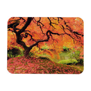 Herbstbaum Magnet
