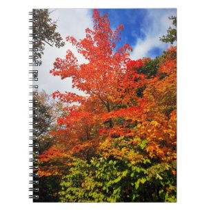 Herbstbaum Notizblock