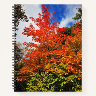 Herbstbaum Notizbuch