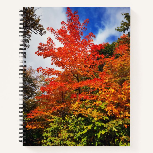 Herbstbaum Notizbuch (Vorderseite)