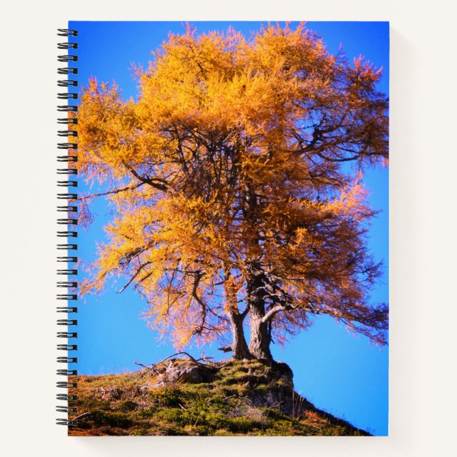 Herbstbaum Notizbuch (Vorderseite)