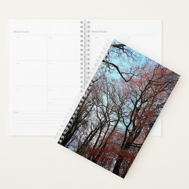 Herbstbaum Planer (Anzeige)