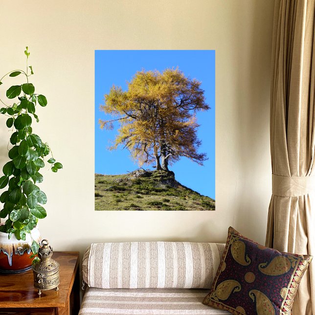 Herbstbaum Poster (Von Creator hochgeladen)