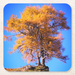 Herbstbaum Rechteckiger Pappuntersetzer