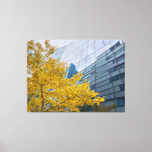 Herbstbaum und Glasgebäude Leinwanddruck