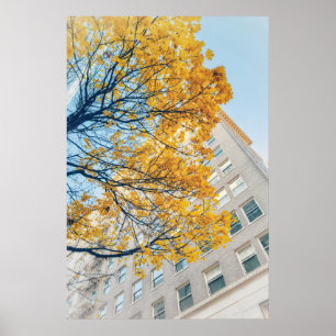 Herbstbaum und hohes Gebäude Poster