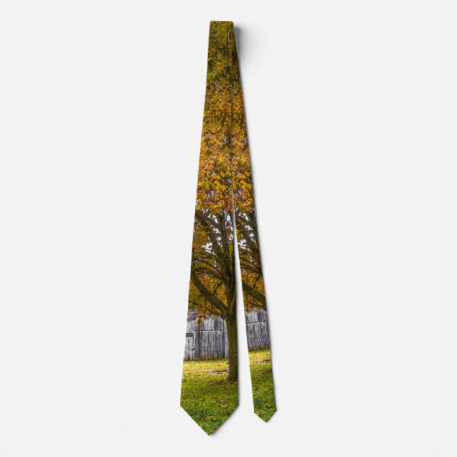 Herbstbaum und Stall Painterly Neck Tie Krawatte (Vorderseite)