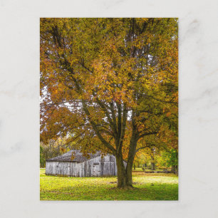 Herbstbaum und Stallpainterly Postcard Postkarte