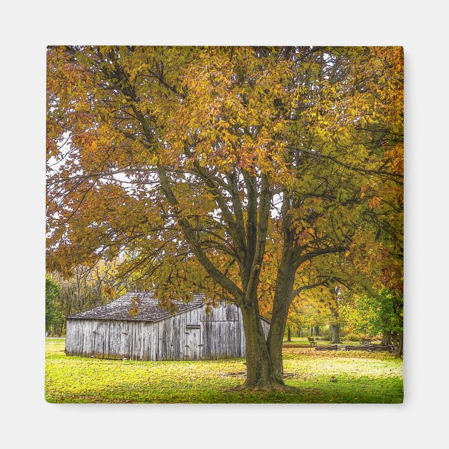 Herbstbaum und Stallpfälzchen Magnet (Vorne)