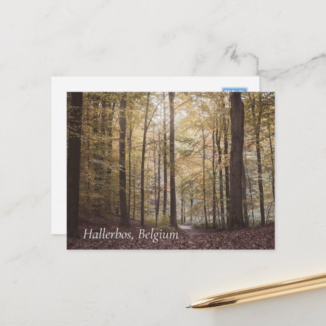 Herbstbäume, Hallerbos, Belgien Postkarte (Vorderseite/Rückseite Beispiel)