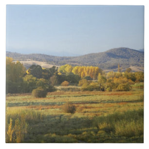 Herbstbäume, Khancoban, Snowy Mountains, New Fliese