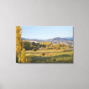 Herbstbäume, Khancoban, Snowy Mountains, New Leinwanddruck