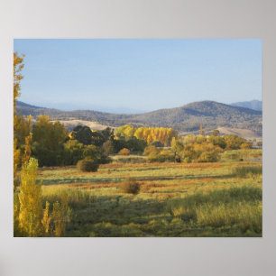 Herbstbäume, Khancoban, Snowy Mountains, New Poster