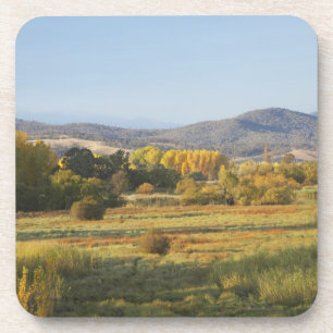 Herbstbäume, Khancoban, Snowy Mountains, New Untersetzer
