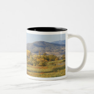Herbstbäume, Khancoban, Snowy Mountains, New Zweifarbige Tasse