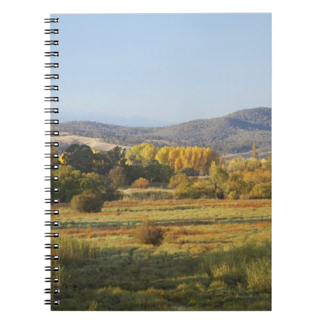 Herbstbaume, Khankoban, Schneeberge, neu Notizblock (Vorderseite)