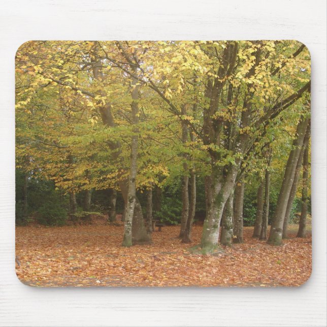 Herbstbäume Mousepad (Vorne)