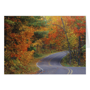 Herbstbäume säumen die Straße im Itasca State Park