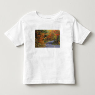Herbstbäume säumen die Straße im Itasca State Park Kleinkind T-shirt