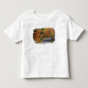 Herbstbäume säumen die Straße im Itasca State Park Kleinkind T-shirt