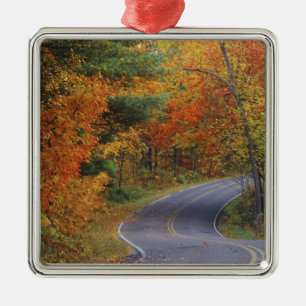 Herbstbäume säumen die Straße im Itasca State Park Silbernes Ornament