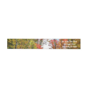 Herbstbäume und blauer Himmel Herbst-Naturfotograf
