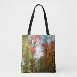 Herbstbäume und blauer Himmel Herbst-Naturfotograf