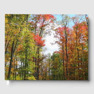 Herbstbäume und blauer Himmel Herbst-Naturfotograf Gästebuch
