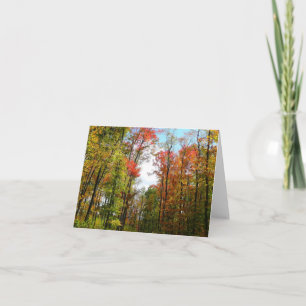 Herbstbäume und blauer Himmel Herbst-Naturfotograf Karte