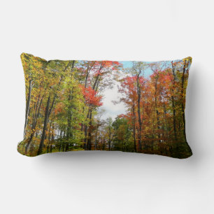 Herbstbäume und blauer Himmel Herbst-Naturfotograf Lendenkissen