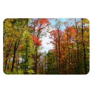 Herbstbäume und blauer Himmel Herbst-Naturfotograf Magnet