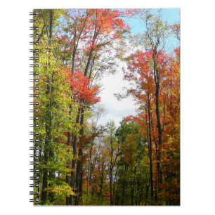 Herbstbäume und blauer Himmel Herbst-Naturfotograf Notizblock
