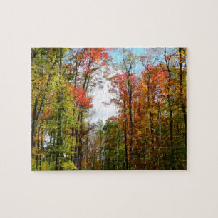 Herbstbäume und blauer Himmel Herbst-Naturfotograf Puzzle