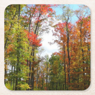 Herbstbäume und blauer Himmel Herbst-Naturfotograf Rechteckiger Pappuntersetzer