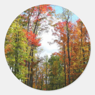 Herbstbäume und blauer Himmel Herbst-Naturfotograf Runder Aufkleber