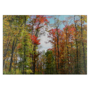 Herbstbäume und blauer Himmel Herbst-Naturfotograf Schneidebrett
