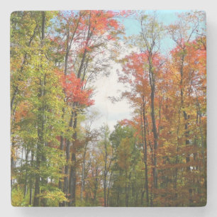 Herbstbäume und blauer Himmel Herbst-Naturfotograf Steinuntersetzer