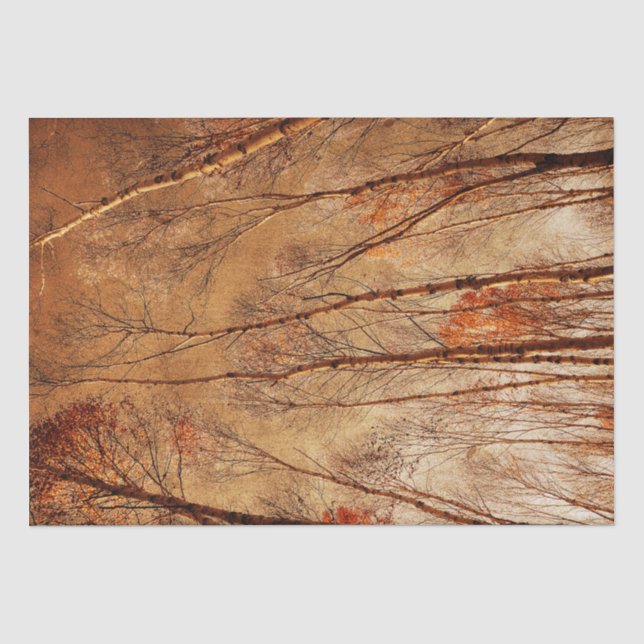 Herbstbaume Vintager Braunwald Seidenpapier (Vorderseite)